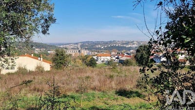 /international/pt/leiria-leiria-310103799469/