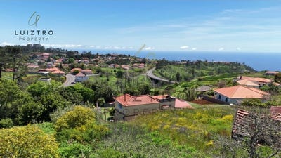 /international/pt/prazeres-madeira-310108243673/