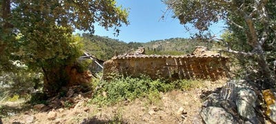 /international/pt/alferce-faro-310104459485/