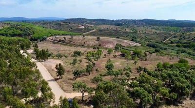 /international/pt/pascoal-sao-teotonio-beja-310100673042/