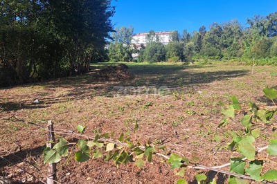 /international/pt/vila-verde-braganca-310108182748/