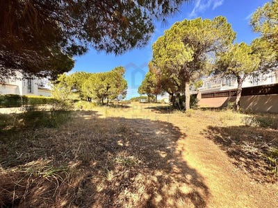 /international/pt/almancil-faro-310108377443/