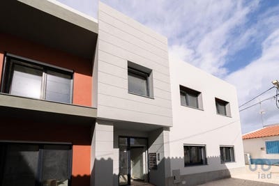 /international/pt/ferrel-leiria-310101187979/?lang=zh-tw