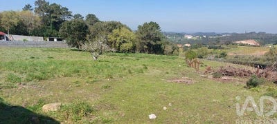/international/pt/aljubarrota-prazeres-leiria-310108291596/
