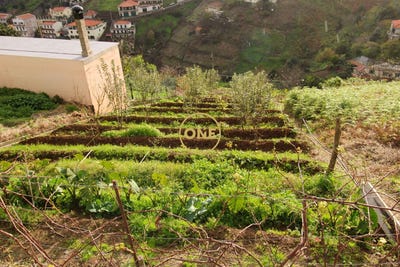 /international/pt/estreito-camara-de-lobos-madeira-310108154792/