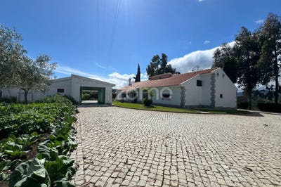 /international/pt/chaves-vila-real-310108159117/