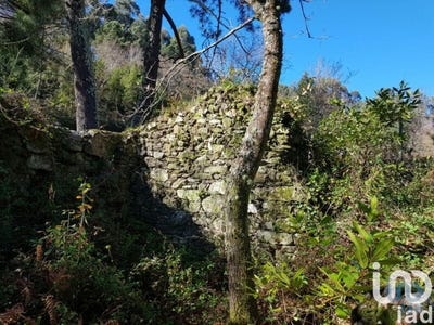 /international/pt/viana-do-castelo-viana-do-castelo-120086694209/