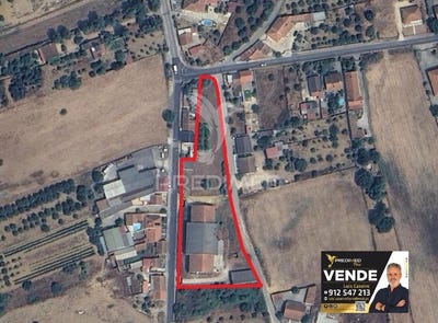 /international/pt/alcanhoes-santarem-santarem-310106934456/