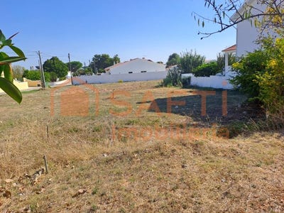 /international/pt/torres-novas-santa-maria-santarem-310103175669/