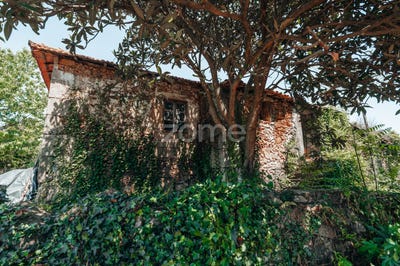 /international/pt/cabeceiras-de-basto-braga-120092608204/