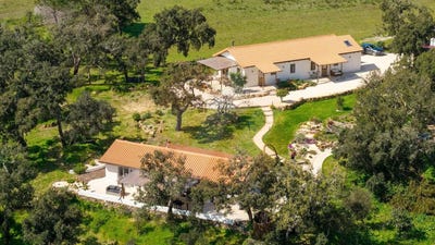/international/pt/beja-beja-310106511139/