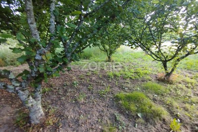 /international/pt/viseu-viseu-310100555504/