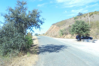 /international/pt/silves-faro-310097305881/