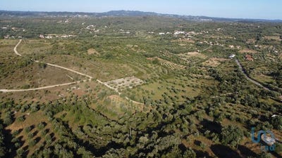 /international/pt/santarem-santarem-310108214304/
