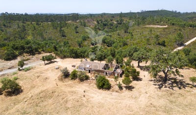 /international/pt/reliquias-odemira-beja-310101444264/