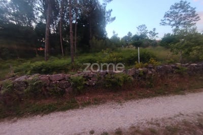 /international/pt/mangualde-viseu-310108211596/