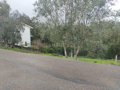 /international/pt/rua-de-santo-antonio-santo-antonio-dos-olivais-coimbra-310100673188/