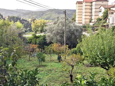 /international/pt/ceira-coimbra-310103749390/
