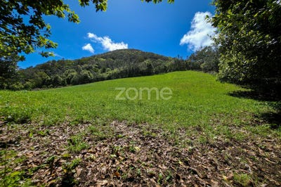 /international/pt/ribeira-grande-azores-310099741486/