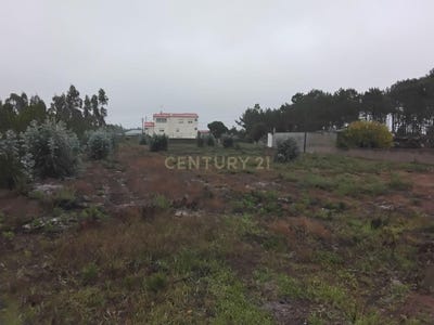 /international/pt/rua-central-guia-portugal-guia-leiria-310103686364/