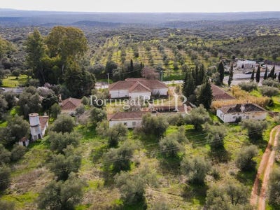 /international/pt/vila-verde-de-ficalho-beja-310108652741/