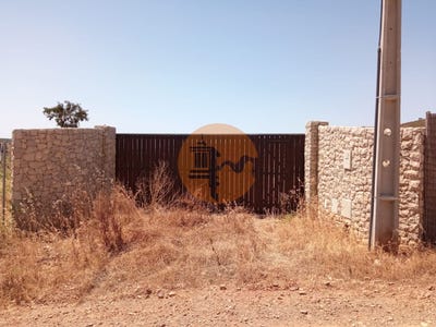 /international/pt/faro-faro-310096372789/
