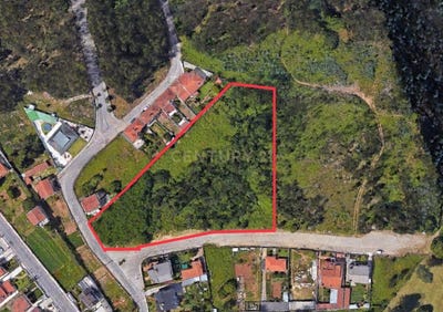/international/pt/rua-do-barracao-canedo-aveiro-310107971819/