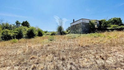 /international/pt/covas-e-vila-nova-de-oliveirinha-tabua-madeira-310104616381/