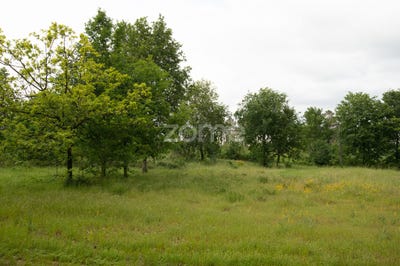 /international/pt/seia-guarda-310108038422/