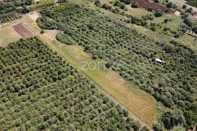 /international/pt/silves-faro-310108320437/