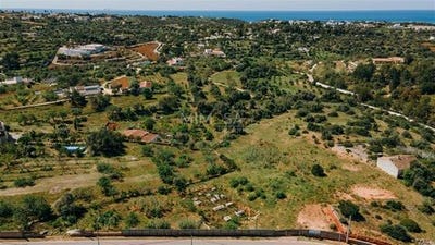 /international/pt/lagoa-algarve-faro-310100043525/
