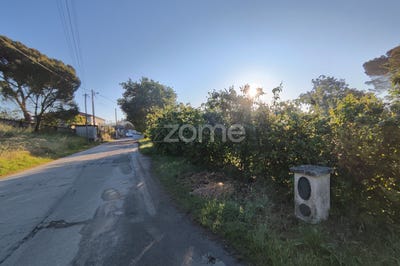 /international/pt/viseu-viseu-120091771753/