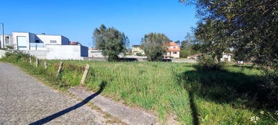 /international/pt/forjaes-braga-120091022411/