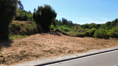 /international/pt/r-das-flores-1-3100-368-pombal-portugal-pombal-braga-310102040989/
