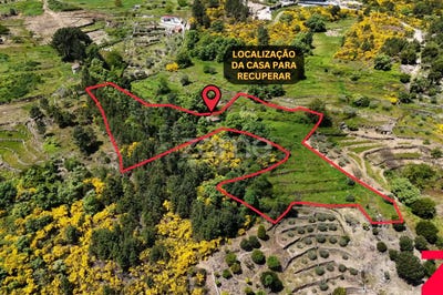 /international/pt/santa-marta-de-penaguiao-vila-real-310100177335/?lang=zh-tw