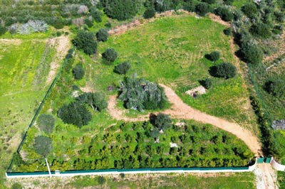 /international/pt/silves-faro-310105740480/
