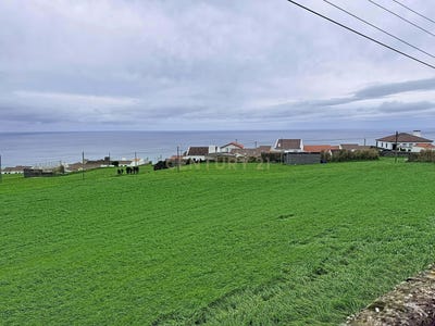 /international/pt/r-do-vigario-13-9630-achada-portugal-ilha-de-sao-miguel-azores-310107521894/