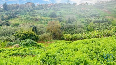/international/pt/ilha-da-madeira-madeira-120085512723/