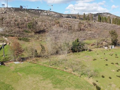/international/pt/basto-sao-clemente-braga-310102316132/