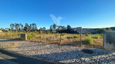 /international/pt/rio-maior-rio-maior-aveiro-310094934922/