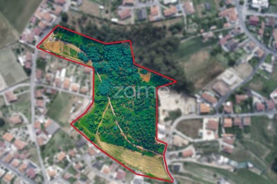 /international/pt/santo-tirso-braga-120085327514/