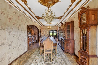 /international/pt/oliveira-do-bairro-aveiro-310105533525/?lang=it