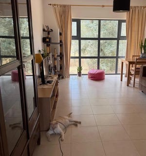 /international/pt/rua-menez-quinta-do-anjo-portugal-quinta-do-anjo-setubal-municipality-310108785439/