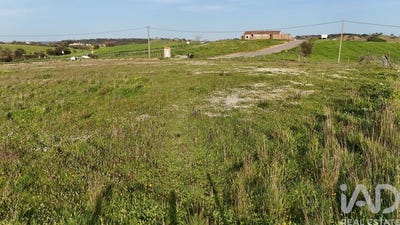 /international/pt/beja-beja-310107522269/