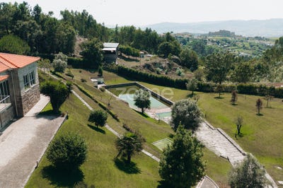 /international/pt/guimaraes-braga-310093906586/