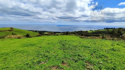 /international/pt/sao-miguel-azores-310103460777/