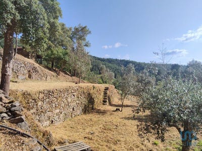 /international/pt/castelo-branco-braganca-310100858936/?lang=zh-cn