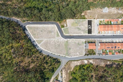 /international/pt/oliveira-de-azemeis-aveiro-310101881495/