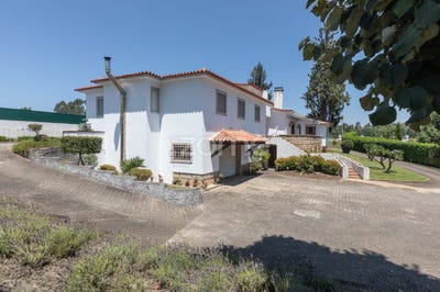 /international/pt/tabua-madeira-310102233267/