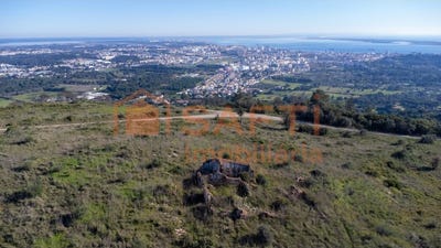 /international/pt/palmela-setubal-municipality-310100491121/